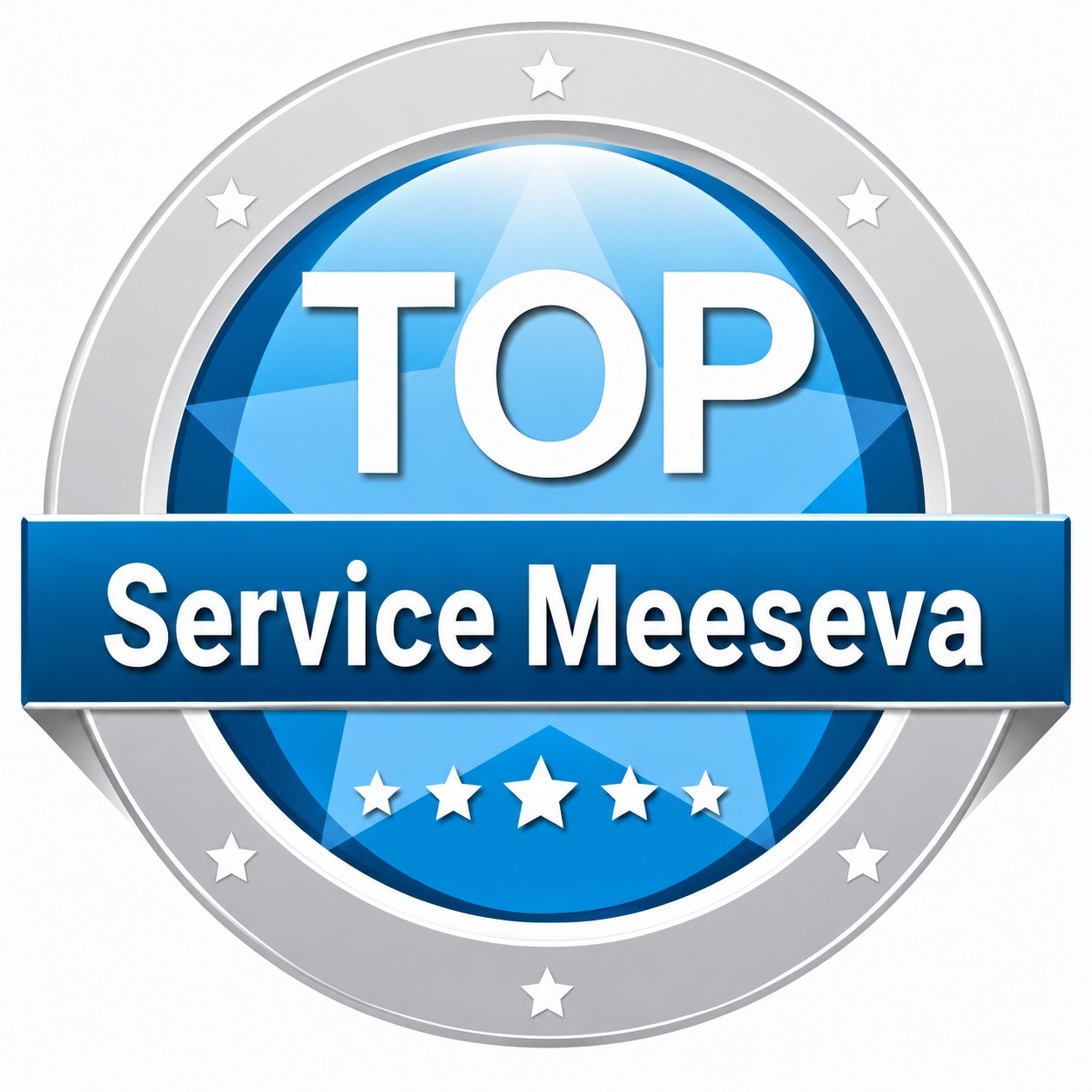 TOP Service Meesva